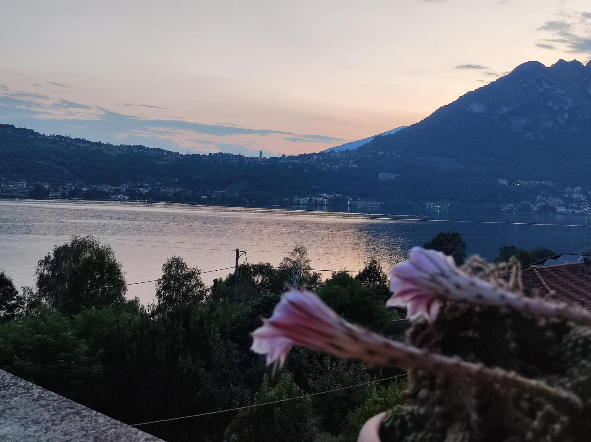 Terrazzo Sul Lago Lecco Extérieur photo